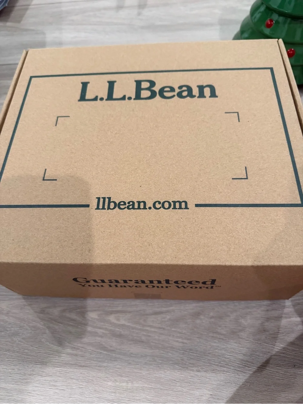 L.L. Bean Teal and Lime Kids Trail Boots